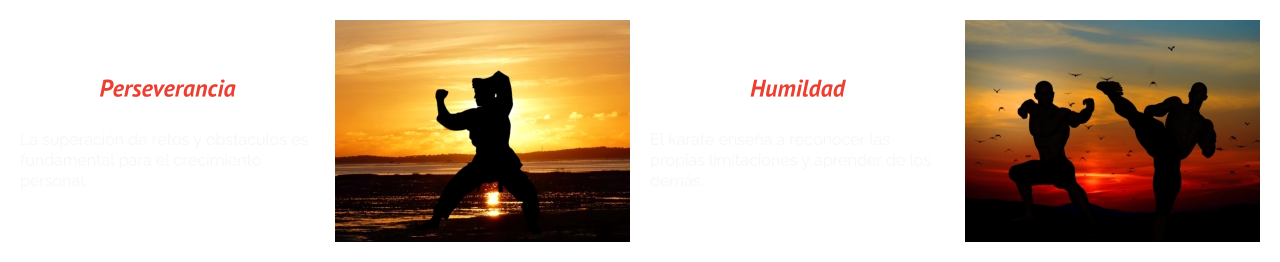 Perseverancia  La superación de retos y obstáculos es fundamental para el crecimiento personal. Humildad  El karate enseña a reconocer las propias limitaciones y aprender de los demás.