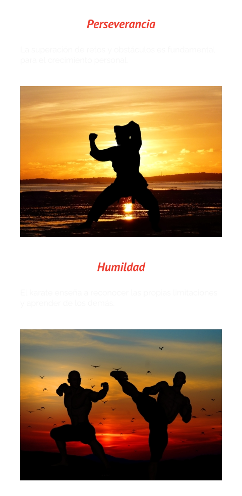 Perseverancia  La superación de retos y obstáculos es fundamental para el crecimiento personal. Humildad  El karate enseña a reconocer las propias limitaciones y aprender de los demás.